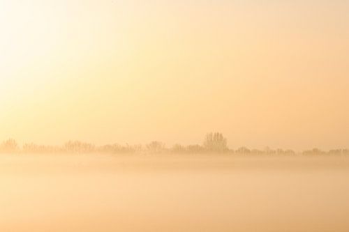Mistige zonsopkomst op de Korendijkse Slikken