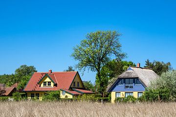 Building, trees and blue sky in Wieck, Germany by Rico Ködder