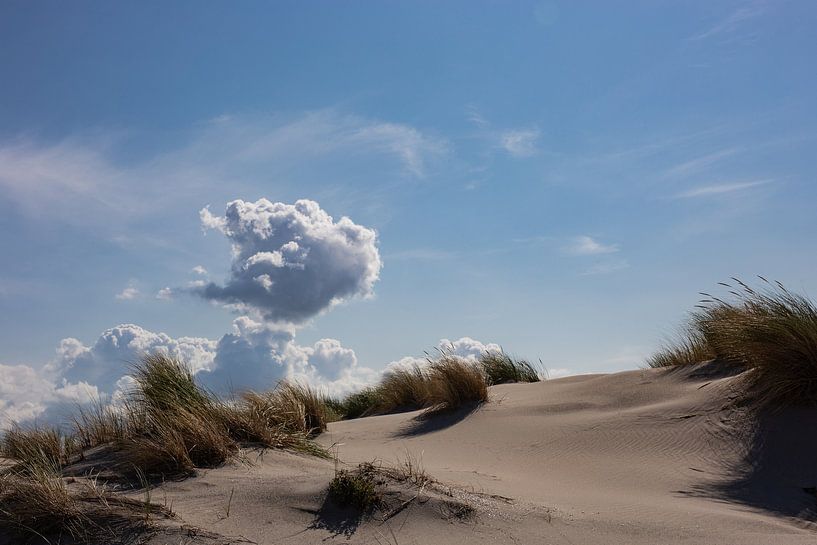 Duinen in de wind van Ulbe Spaans