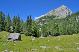 Eine traditionelle Holzhütte auf einer Almwiese von Tomherkules