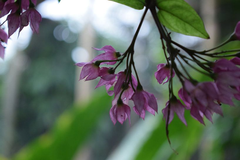 It's upside down par Fayenne Gorsse