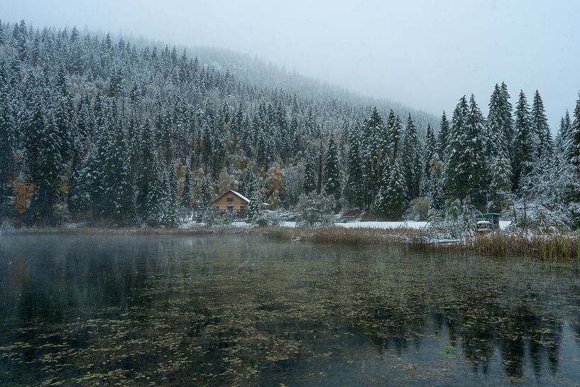 Wo der Regen zu Schnee wird von Samantha van Leeuwen