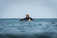 Paddle II