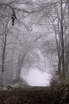 Le chemin sur Karl Heinrich