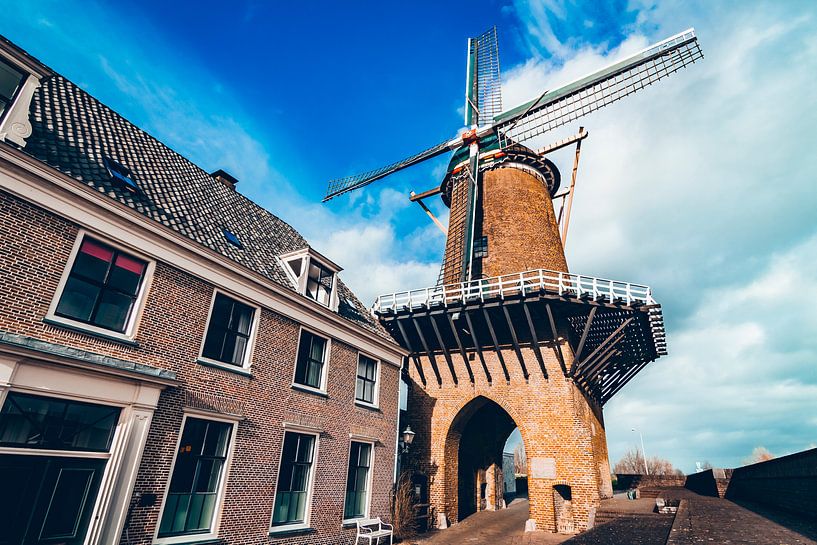 Molen van Wijk bij Duurstede par Lars van 't Hoog