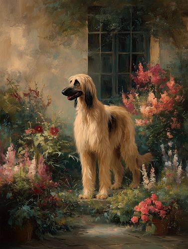 Afghaanse windhond in de bloementuin