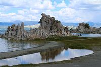 Awesome Nature -  Verblüffende Natur