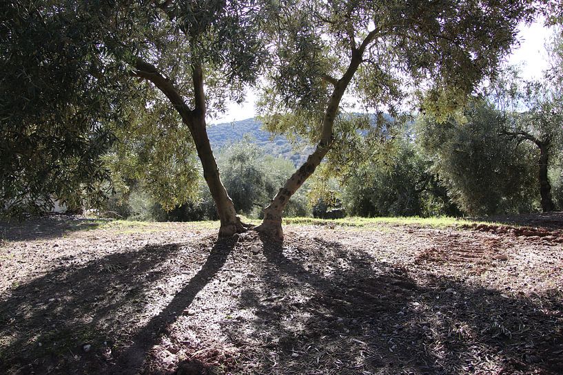 The young ones. by Jan Katuin