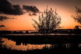 Die Landschaft von iulian Nastase