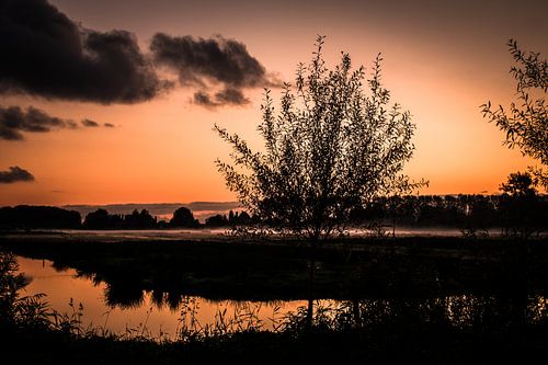 Het landschap