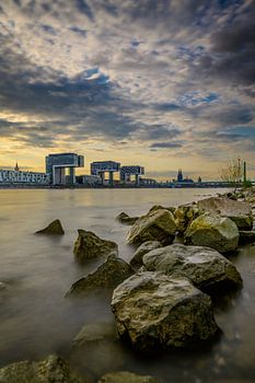 The crane houses in Cologne