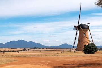 Nederlandse molen in Australië van Sonja Hogenboom