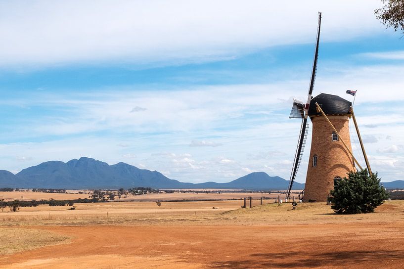 Dutch mill in Australia by Sonja Hogenboom