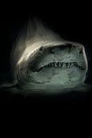 Requin robuste sur fond noir