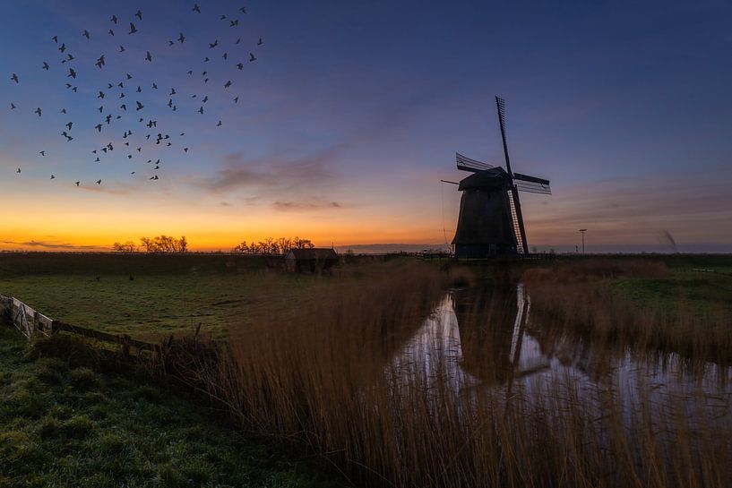 Above mill E schermerhorn in reflection by peterheinspictures