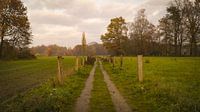 Forest path