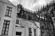 Verschneite Kathedrale von Utrecht mit Vögeln von Patrick van den Hurk Miniaturansicht