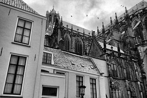 Besneeuwde Dom Utrecht met vogels van Patrick van den Hurk
