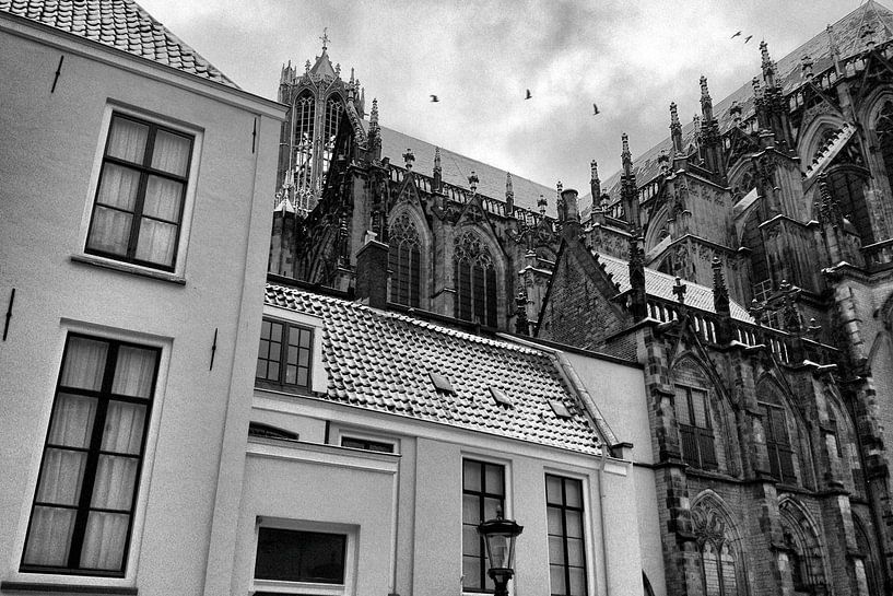 Verschneite Kathedrale von Utrecht mit Vögeln von Patrick van den Hurk