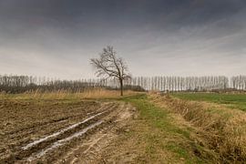 winters landschap van Lieke van Grinsven van Aarle