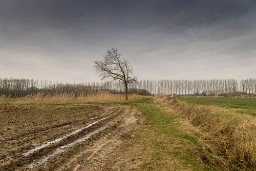 winters landschap