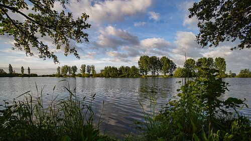 Bosjessteeg IJsselmuiden