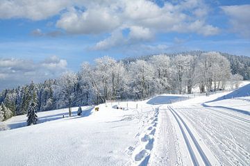 Skilanglaufparadies Bayerischer Wald