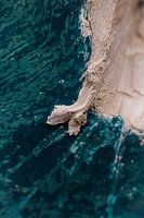 Macro photo or landscape?