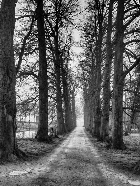 Way to the light by Rex Quintyn