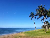 Beach in Olowalu, Maui, Hawaii