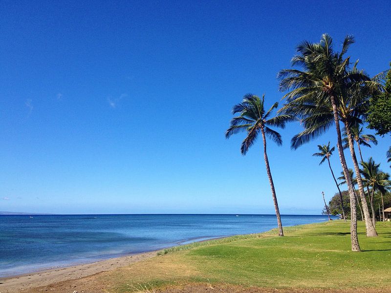 Beach in Olowalu, Maui, Hawaii van Martina Dormann