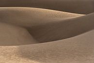 Gouden duinen in de woestijn | Iran van Photolovers reisfotografie thumbnail