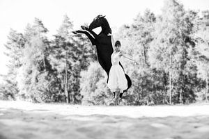 Dans van paard & ballerina 5 sur Sabine Timman