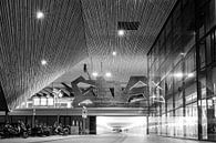 Rotterdam Centraal Station van Studio Wanderlove thumbnail