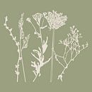 Meadow Botanical art in Sage Green en Beige nr. 1 van Dina Dankers thumbnail