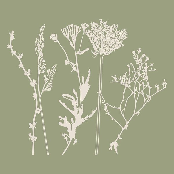 Meadow Botanical art in Sage Green en Beige nr. 1 van Dina Dankers