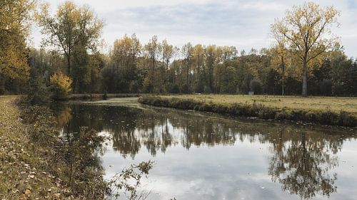 Dender Herfstlandschap, België