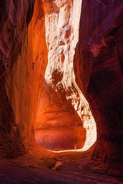 Dans le canyon de la fente