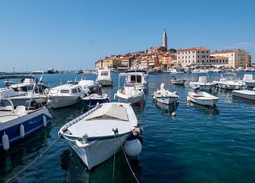 Hafen mit der Stadt Rovinj an der Adriaküste von Animaflora PicsStock