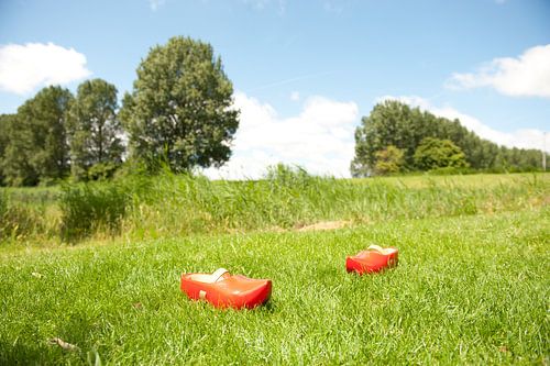 Twee Klompen in het Gras
