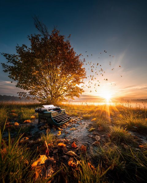 L'heure dorée s'éveille par fernlichtsicht
