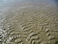 Waterzand