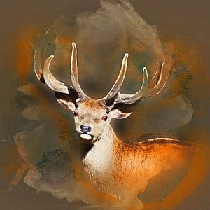 Cerfs avec bois