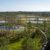 Veenmeren in Estland van Manon Verijdt