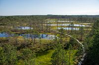 Peat bogs in Estonia
