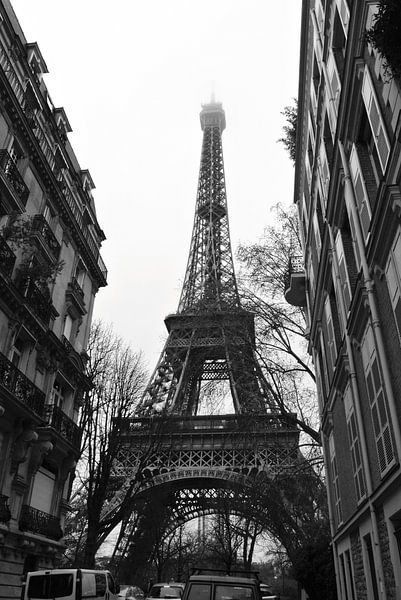 Paris I by lieke hermanides