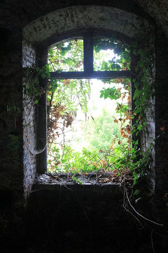 de kracht van de natuur