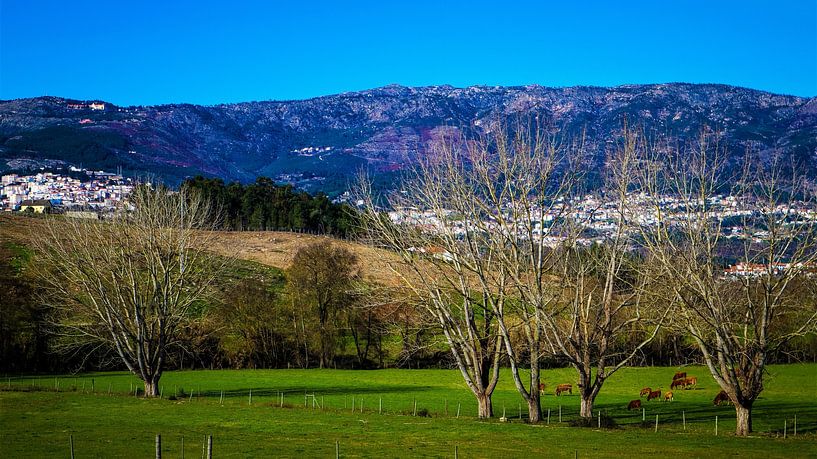 The timeless beauty of Portugal's mountainous landscape by Wildlife Designs