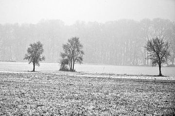 Wintery, snow-covered pasture in the Oderbruch - monochrome by Silva Wischeropp
