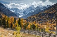 Zicht op de Morteratschgletsjer in Zwitserland van Menno Schaefer thumbnail